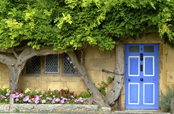 Blåregn på typisk Cotswold cottage