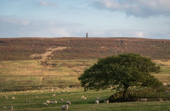 North Yorkshire Moors