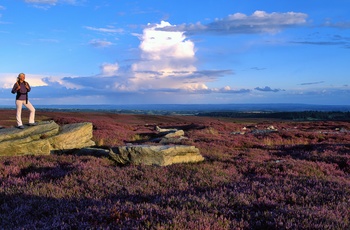 North Yorkshire Moors efterår
