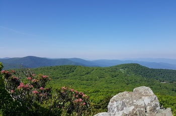 Stony Man Trail