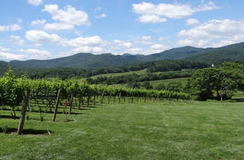 Pippinhill Farm and Vineyards