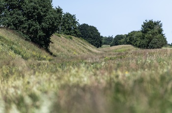 Dannevirke i Nordtyskland