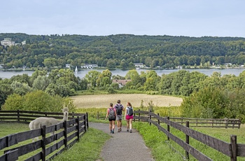 Foto: Essen - Baldeneysteig - © EMG, Mike Henning