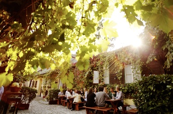 Schuebel-Auer Wine Tavern © WienTourismus/Peter Rigaud