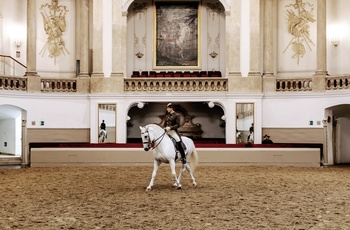 Spanische Hofreitschule, Lipizzaner © WienTourismus/Paul Bauer