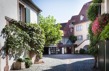 Hôtel à la Cour d'Alsace, Les Collectionneurs