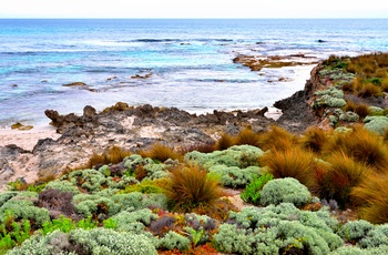 Smukke farver langs kysten af Hanson Bay på Kangaroo Island - South Australia