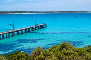 Turkisblå farver i Hanson Bay på Kangaroo Island - South Australia