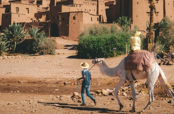 Mand med dromedar foran Ait Ben Haddou - ikoniske lerby mellem Atlasbjergene og ørkenen i Marokko - Foto: Mathieu Gauzy, Unsplash