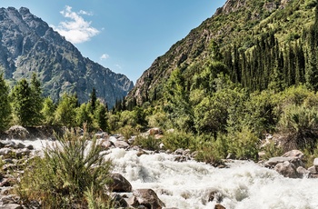 Fossende flod i Ala Archa National Park i Kirgisistan