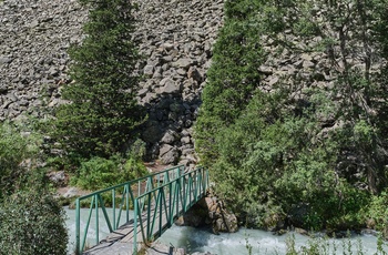 Lille bro over flod i Ala Archa National Park i Kirgisistan