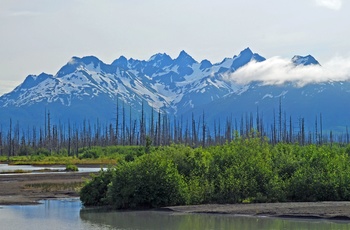 Chugach Mountains tæt på kystbyen Valdez - Alaska