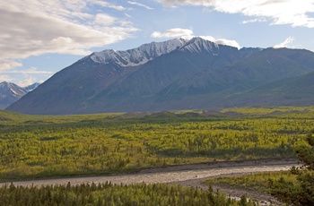 Alaska Delta River - Alaska