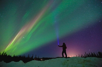 Nordlys over Fairbanks i Alaska