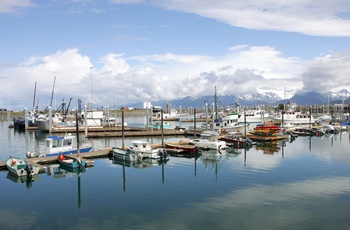 Havnen i kystbyen Homer, Alaska