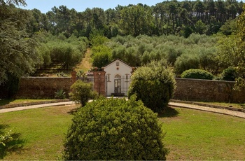 Albergo Villa Marta - Garden