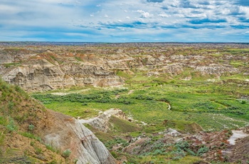 Dinosaur Provincial Park - Alberta i Canada