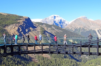 Columbia Icefield Skywalk i Jasper National Park, Alberta i Canada