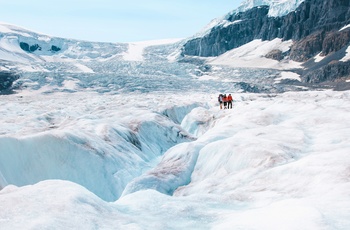 Columbia Icefields, Mountain Tour i Alberta, Canada