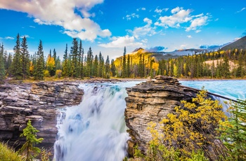 Athabasca vandflad i Jasper Nationalpark, Alberta i Canada