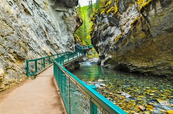 Gangbro gennem Johnston Canyon i Banff National Park, Alberta i Canada