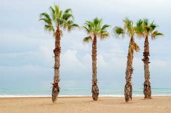 Playa de San Juan i Alicante, Spanien