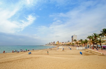 Strand ved El Campello lige nord for Alicante