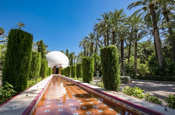 Palmelunden Palmeral of Elche i UNESCO Visitor Center, Alicante