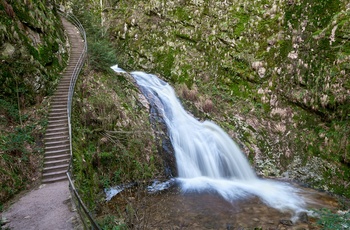 Allerheiligen vandfaldet i Schwarzwald