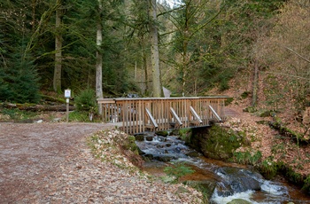 Allerheiligen vandfaldet i Schwarzwald