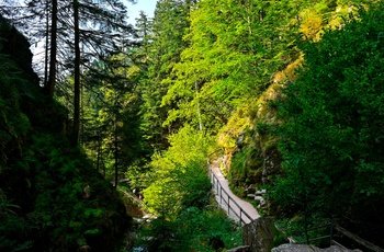 Allerheiligen vandfaldet i Schwarzwald