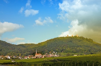Fort og vinmarker ved Husseren les Chateaux i Alsace, Frankrig