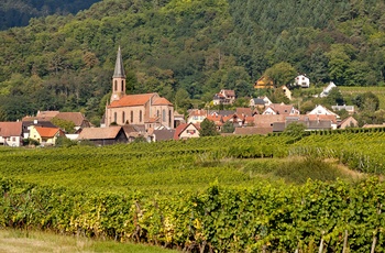 Vinmarker ved Husseren les Chateaux i Alsace, Frankrig