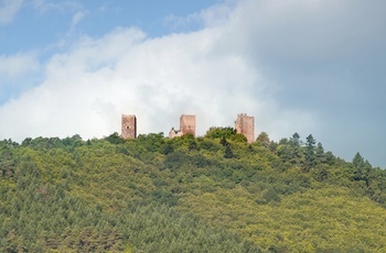 Fort og vinmarker ved Husseren les Chateaux i Alsace, Frankrig