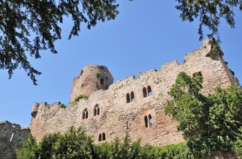 Ruin ved Ørneparken i Kintzheim, Alsace