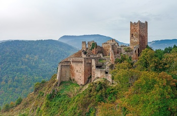 Den gamle borg Saint Ulrich ved Ribeauville, Alsace i Frankrig