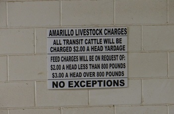 Amarillo kvægauktion skilt, Texas