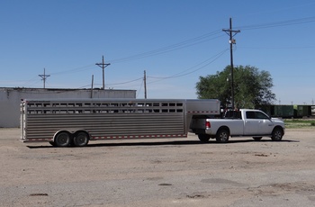 Amarillo, trailer ved kvægauktion, Texas