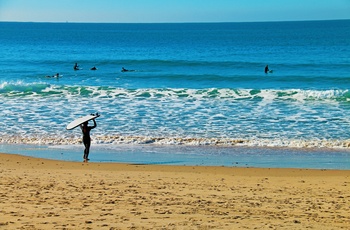 Surfer på stranden og på vej ud til surfere - Andalusien