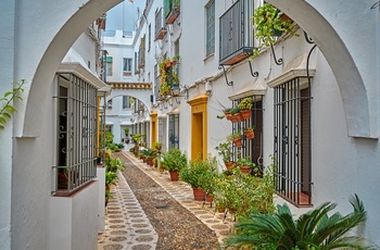 Hyggelig gade i Cordoba, Andalusien