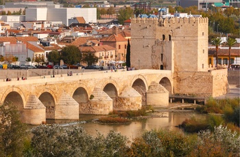 Puente Romano