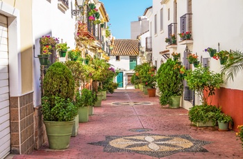 Gade med hvidkalkede huse og blomster krukker i Estepona, Andalusien