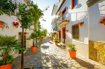 Gade med hvidkalkede huse og blomster krukker i Estepona, Andalusien