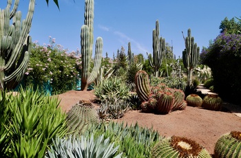 Anima Garden i Marokko