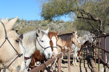 Kay El Bar Guest Ranch - Wickenburg i Arizona