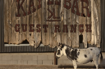 Kay El Bar Guest Ranch - Wickenburg i Arizona