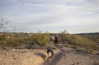 Kay El Bar Guest Ranch - Wickenburg i Arizona