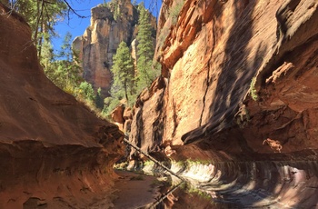 Stejle klipper i Oak Creek Canyon i Arizona, USA