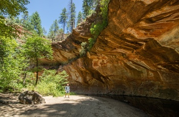 West Fort vandreruten i Oak Creek Canyon i Arizona, USA