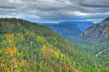 Efterår i Oak Creek Canyon i Arizona, USA